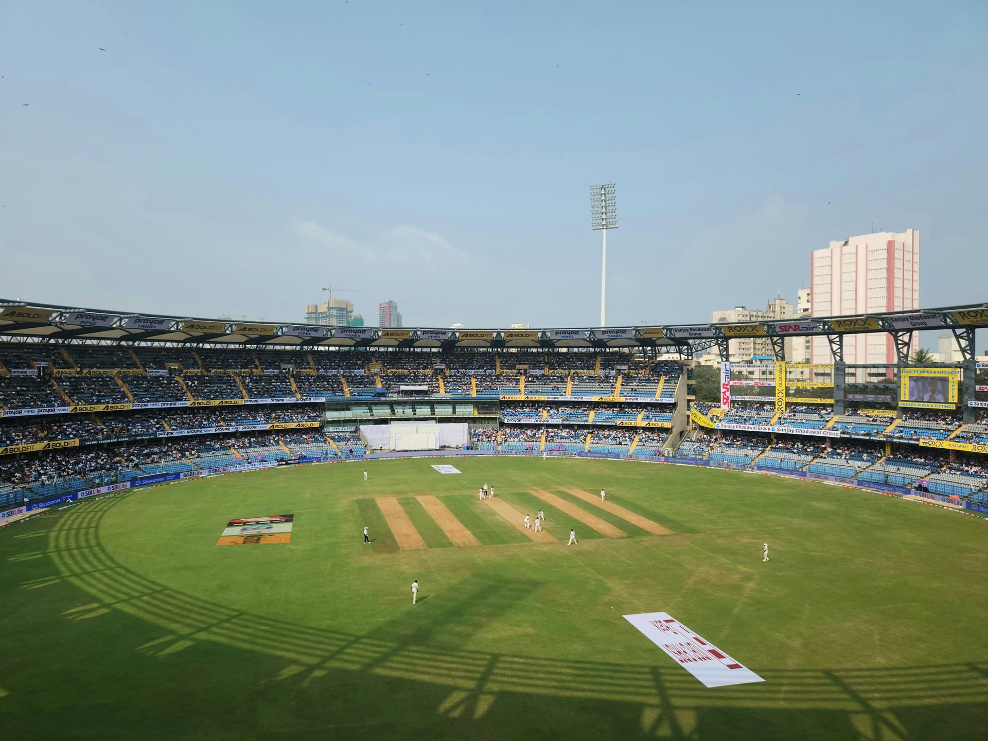 cricket-img7